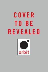 New Molly O’Neill Novel #2
